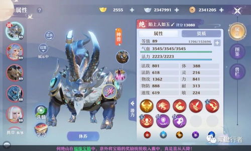 梦幻新诛仙酒狂徒PVP攻略：高效打书技巧揭秘