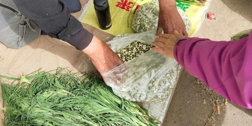 2024年度最佳异步多人游戏盘点：盘点最热门的异步多人游戏