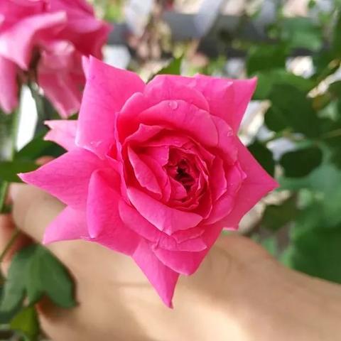 哲理游戏盘点：热门下载排行，寻找你的心灵之旅