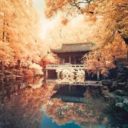 暗黑破坏神不朽：荣誉商人NPC精准位置速查攻略