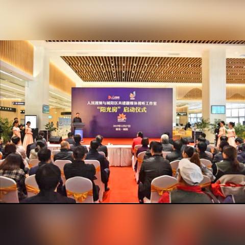 猫之城猫球孵化攻略：快速获取秘籍曝光