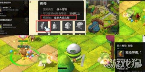 《宠物再战攻略：高效出战技巧揭秘》