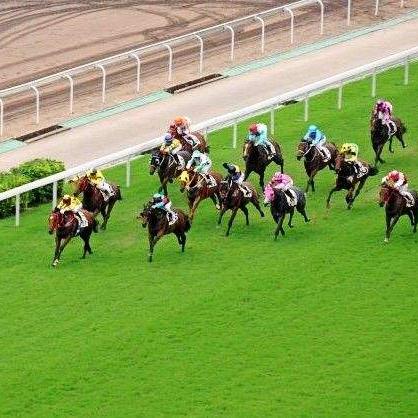 《十大热门马匹游戏盘点：最刺激的马场冒险》