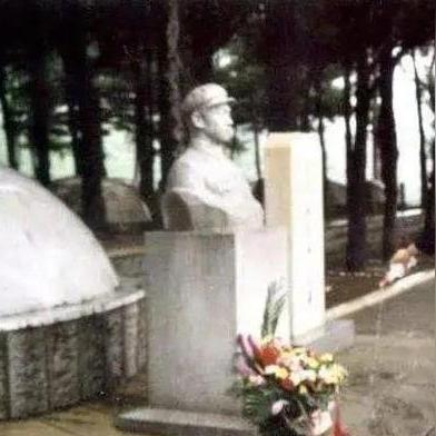 《豪杰成长计划》子女培养攻略：高效玩法揭秘！