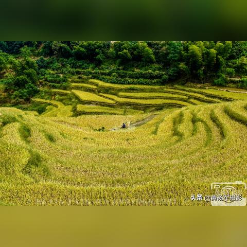 桃源记2种田达人攻略：高效种植技巧全解析