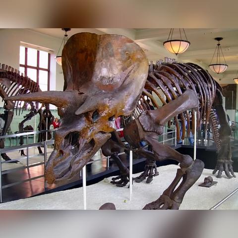 《十大热门龙游戏盘点：不容错过的龙族冒险》