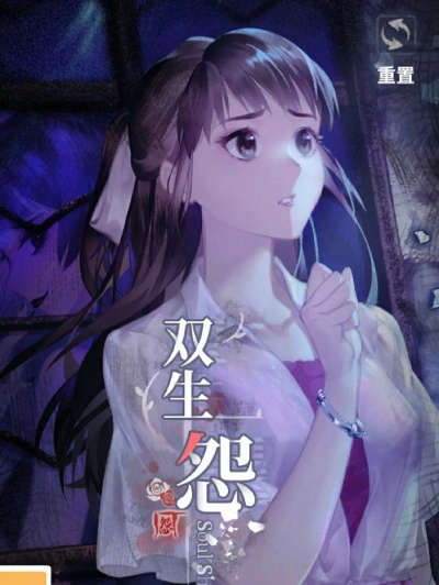 《双生怨第三章攻略：轻松通关秘籍大揭秘》