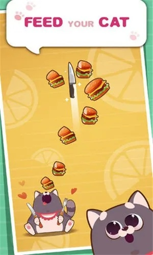 猫咪游戏盘点：热门人气猫游戏排行推荐