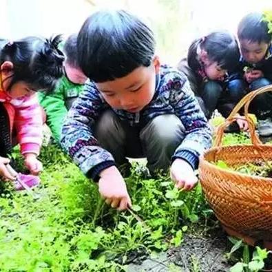 《部落弯刀火之书残本寻宝攻略：隐藏位置揭秘》