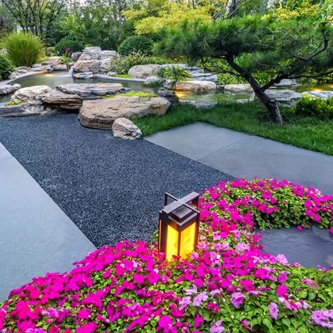 九重试炼仙踪秘境通关攻略：轻松解锁全部秘境