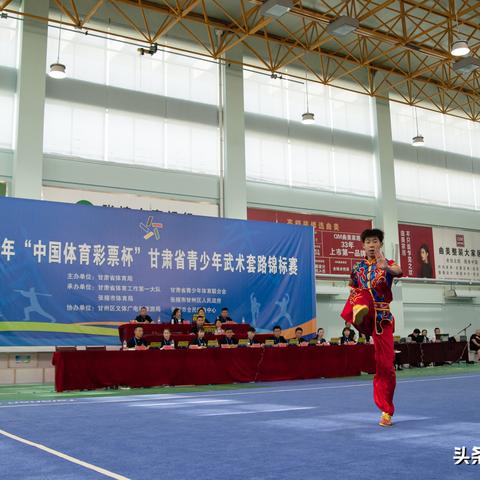 《武林巅峰！2023最新武术游戏排行TOP10》