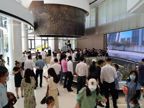 《十大热门旅鼠游戏盘点：经典之作不容错过》
《旅鼠游戏人气排行：盘点最受欢迎的十大经典游戏》
《旅鼠游戏巅峰之作：揭秘十大最受欢迎游戏榜单》
《旅鼠游戏精选：十大经典游戏，玩家必玩清单》
《旅鼠游戏热门排行：盘点十大最受欢迎的经典游戏》