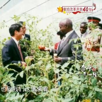 《直播田野守望者攻略：玩转游戏必备技巧一览》