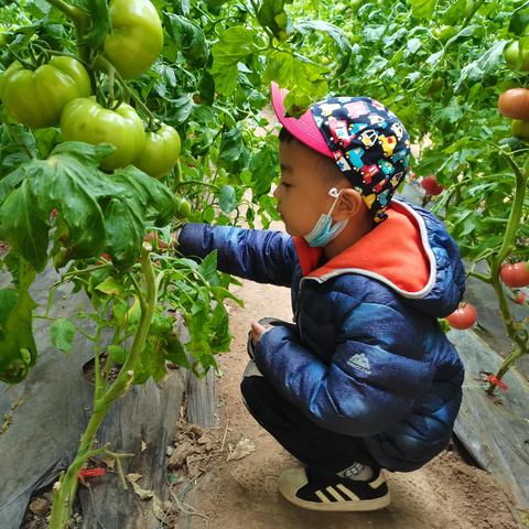 农业游戏盘点：热门好玩游戏推荐，畅享田园乐趣