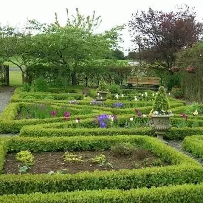 农业游戏盘点：热门好玩游戏推荐，畅享田园乐趣