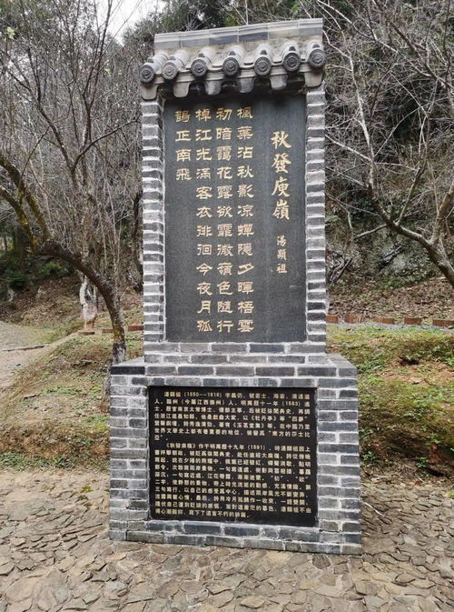 《源经岛石碑选择秘籍：门派专属攻略》