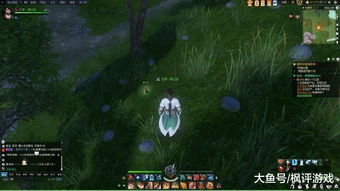 一念逍遥铸宝攻略：高效获取方法揭秘