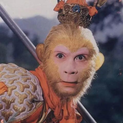 欲罢不能游戏盘点：热门必玩游戏推荐！