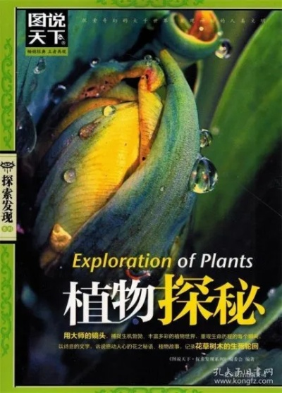 《黑沙秘境探花：揭秘硕大奇花藏匿之地》