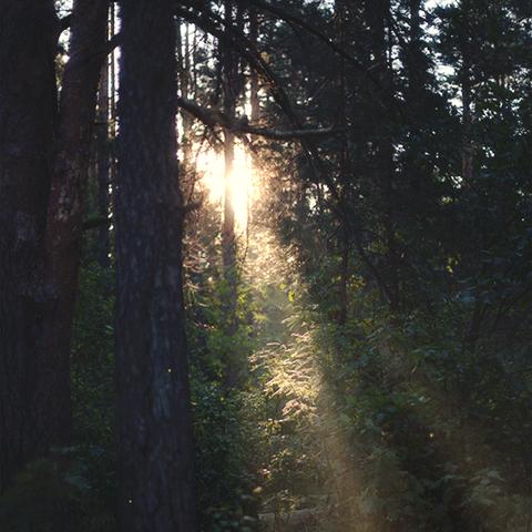 《华夏杂技流攻略：解锁无悔游戏新境界》