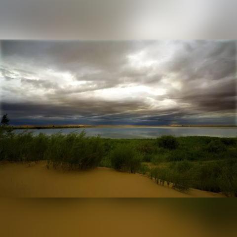 《黑珍珠获取攻略：手游《黑色沙漠》高效途径揭秘》