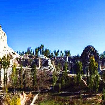 《黑色沙漠手游残暴怪物全位置揭秘》