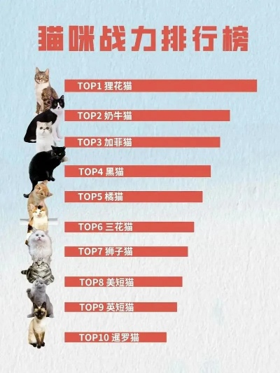 猫咪游戏盘点：十大耐玩猫游戏排行，趣味无限！