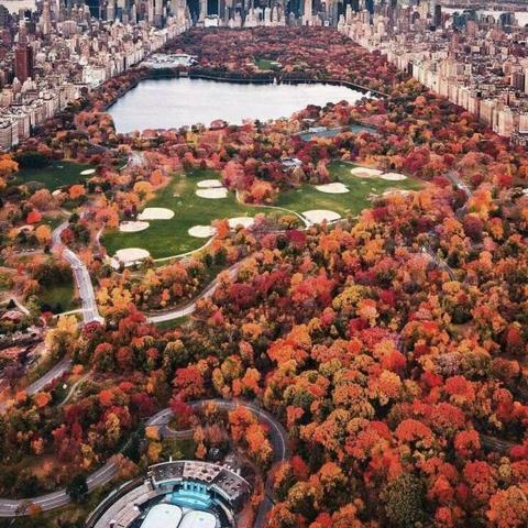 弹射游戏盘点：十大热门必玩弹射游戏推荐