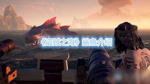 《盘点热门非主流经典游戏：揭秘玩家心中的排行NO.1》