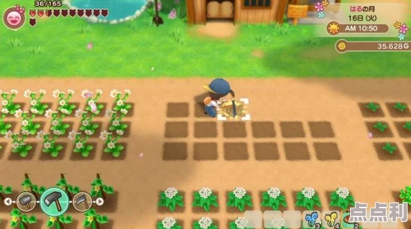 《小镇物语攻略：深度解析实用生存技巧》