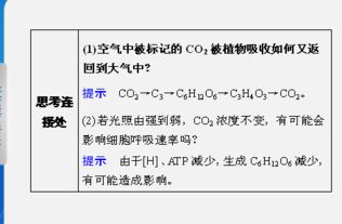 《光遇呼吸药剂氧气恢复量揭秘！必看攻略》