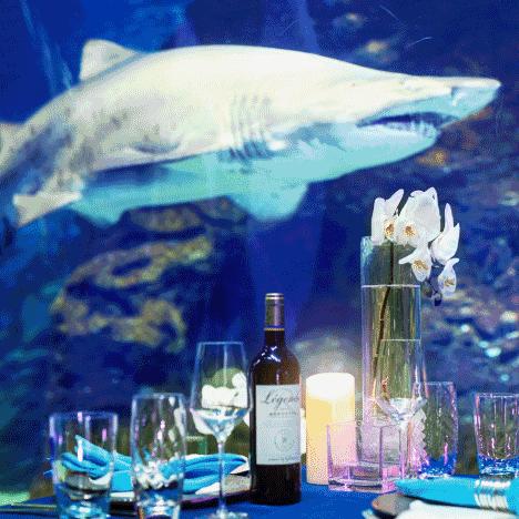 《热门步行模拟游戏盘点：人气巅峰之作推荐》
《探索步行模拟巅峰！人气爆棚游戏精选榜》
《人气爆棚！盘点那些让你停不下来的步行模拟游戏》
《步行模拟游戏人气排行：这些游戏你玩过吗？》
《人气飙升！精选步行模拟游戏，不容错过》