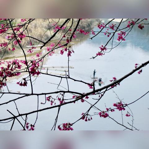 《解锁无悔华夏醉生梦死结局：达成条件秘籍》