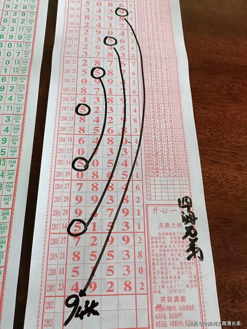 四海兄弟故乡奇遇记：盘点必收特色收集品清单