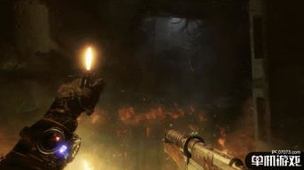 《异象回声第五章惊吓莽兽藏匿攻略揭秘》