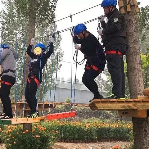 《十大自然游戏盘点：不容错过的生态冒险之旅》