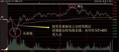 炒股新手必看！揭秘当代人生炒股高收益秘籍