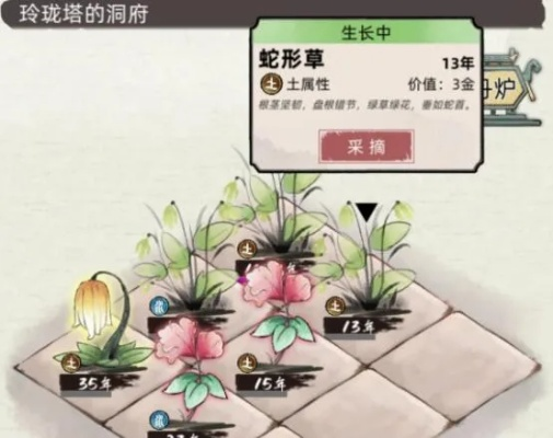 《不一样修仙2宠物养成秘籍：高效提升攻略》