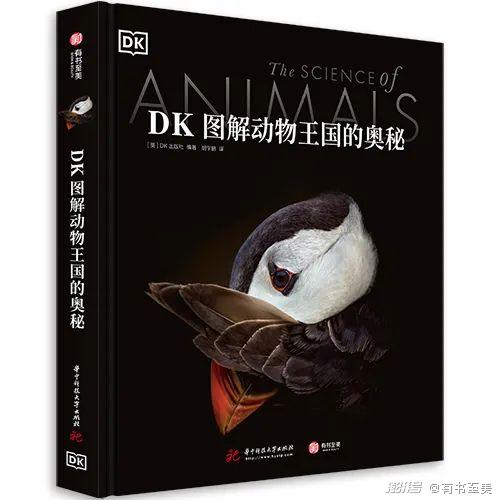 《华夏人生：揭秘移动速度与动物行为奥秘》