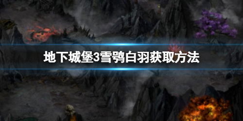 地下城堡3雪鸮白羽获取攻略：高效秘籍曝光