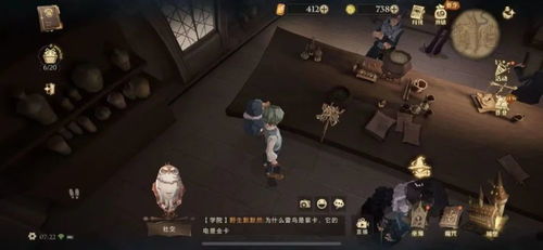 《哈利波特觉醒：异响之兆组队攻略，卡组阵容秘籍》