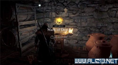 《失踪宝物》狼人杀玩法攻略，揭秘神秘游戏技巧