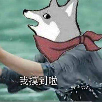 纯白和弦平民阵容攻略：打造最强阵容秘籍