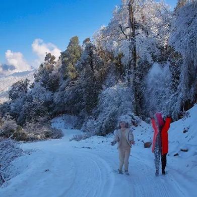 《十大耐玩雪游戏盘点：冬季必玩清单》