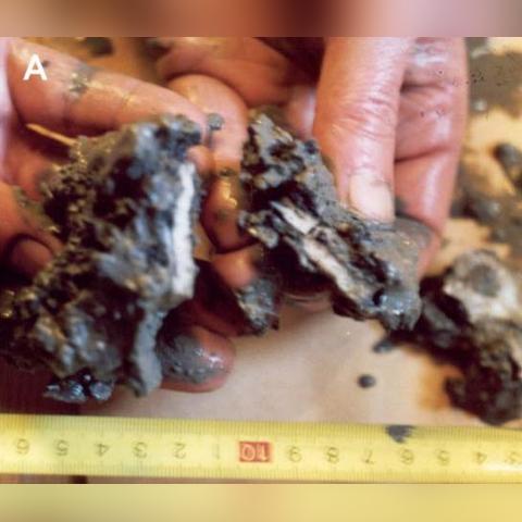 石油大亨岩浆：揭秘高效养气秘籍，轻松成为天然气达人