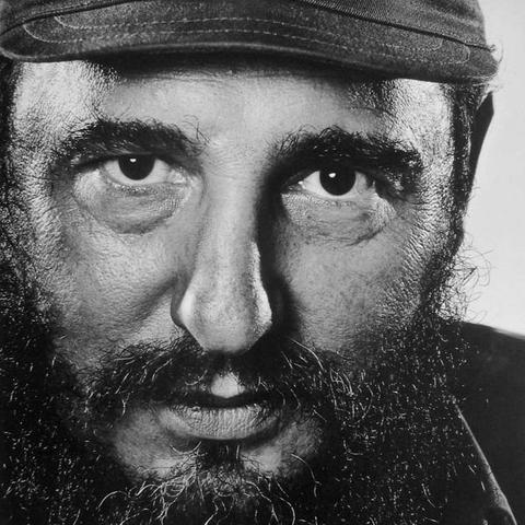 自然游戏盘点：十大经典自然游戏推荐，必玩佳作！