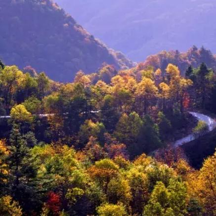 三国战纪天书秘境双倍奖励攻略，轻松翻倍收益！