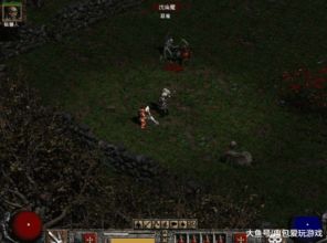 欲罢不能游戏盘点：十大必玩热门游戏推荐