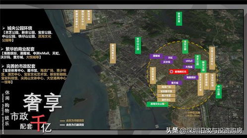 龙魂旅人新币回收详情曝光！点击查看回收一览