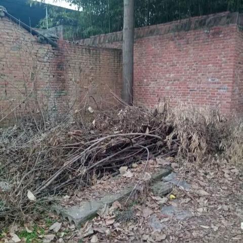 《华夏千秋见闻录零氪攻略：轻松获取，畅玩无忧》